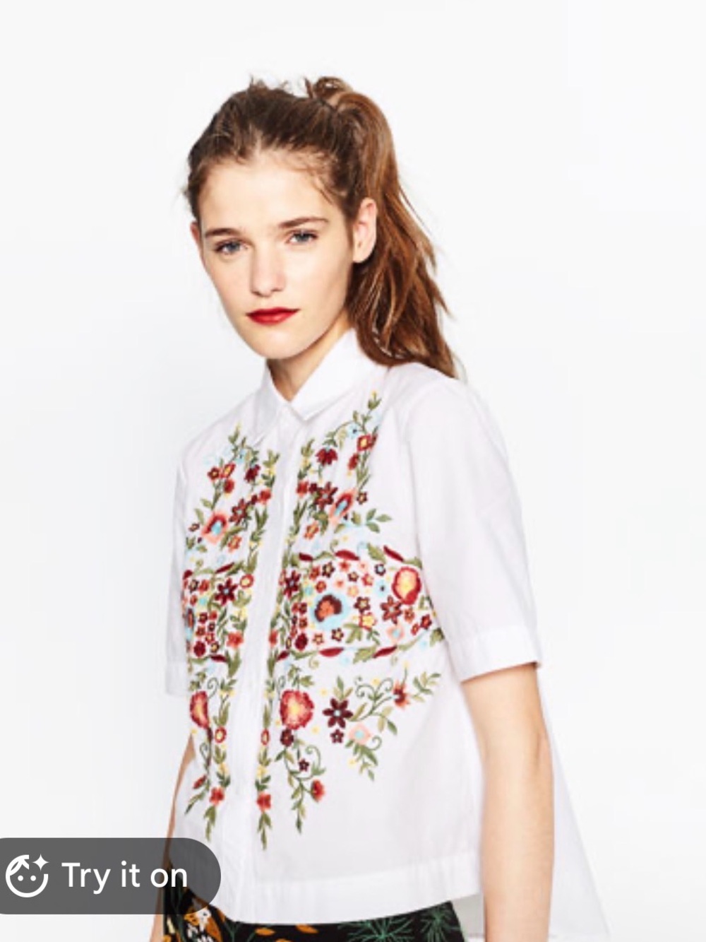 Zara Embroidered Short-Sleeve Shirt Top